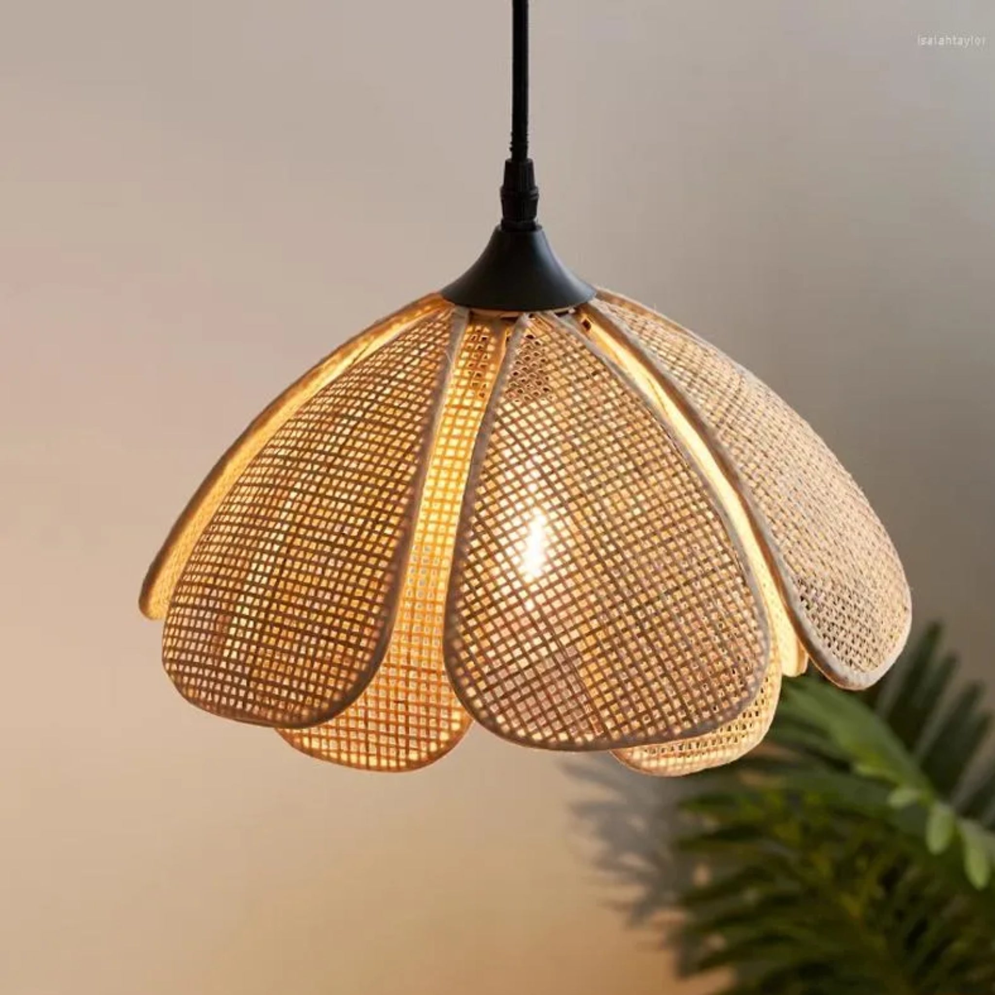 Cane Webbing Lamp | Rattan Pendant Lamp LP-77