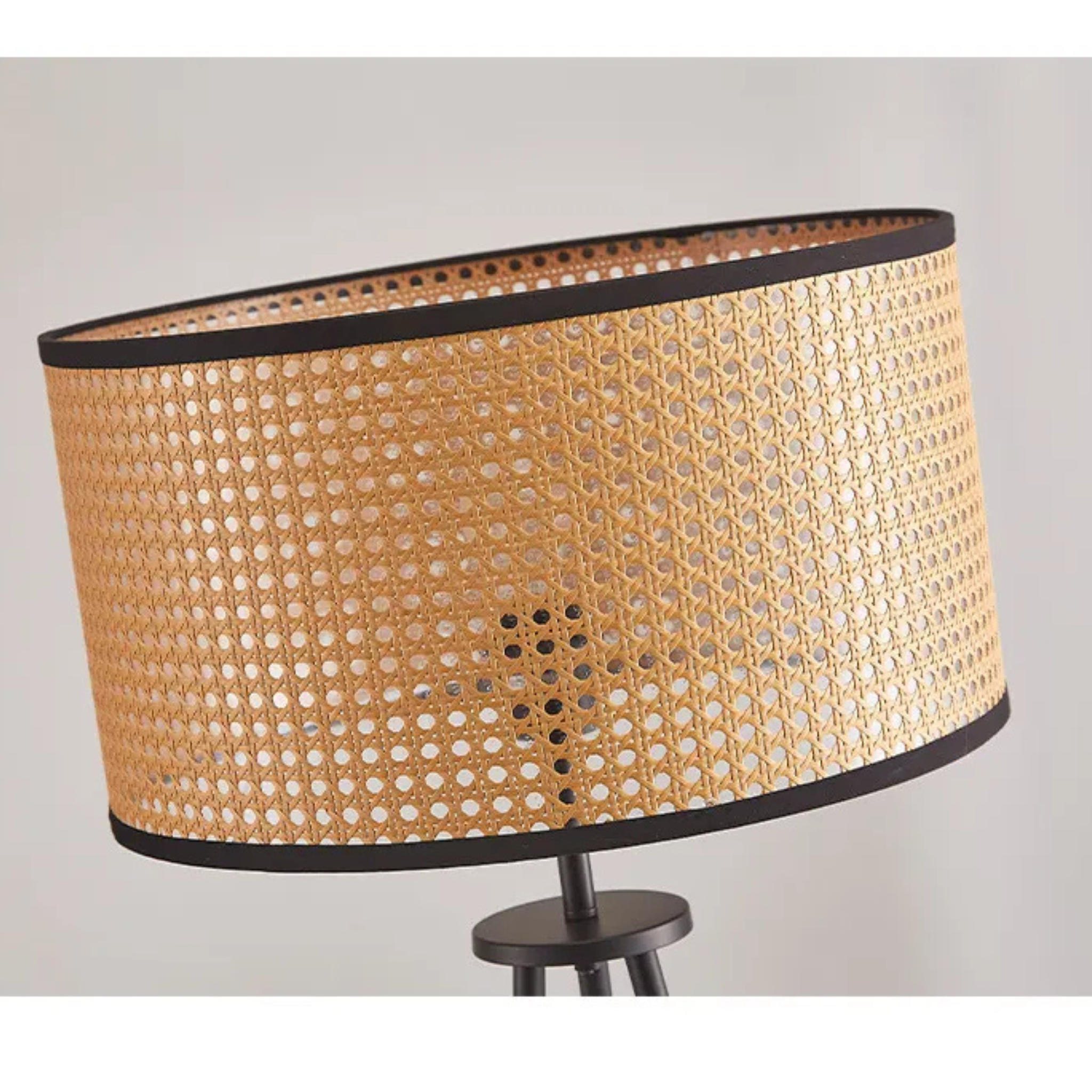Cane Webbing Floor Lamp With Metal LP-50